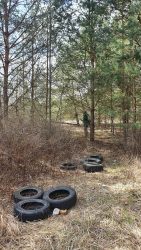 Abenteuerwald Wünsdorf