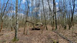 Abenteuerwald Wünsdorf