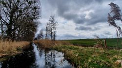 210410_Zehdenick_Runde-004