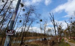 210410_Zehdenick_Runde-007