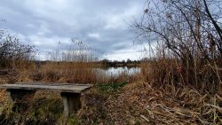 210410_Zehdenick_Runde-012