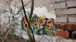 210425_Prypjat_Street_Art-005
