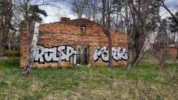 210425_Prypjat_Street_Art-007