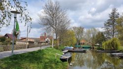 210501_Spreewald-000