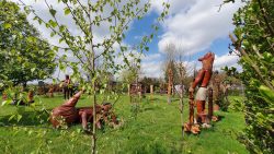 210501_Spreewald-001