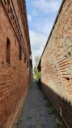 210501_Spreewald-003