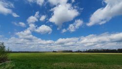 210501_Spreewald-005