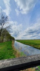 210501_Spreewald-006