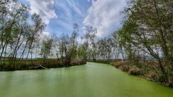 210501_Spreewald-007