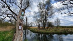 210501_Spreewald-008