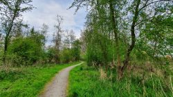 210501_Spreewald-009