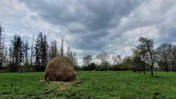 210501_Spreewald-010