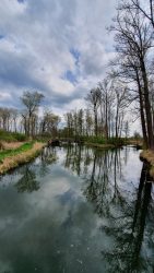 210501_Spreewald-011