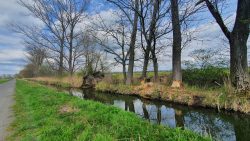 210501_Spreewald-012