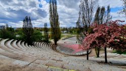 210503_Kirschblueten-001