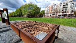 210503_Kirschblueten-002