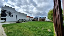 210503_Kirschblueten-003