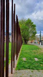 210503_Kirschblueten-004