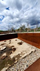 210503_Kirschblueten-005