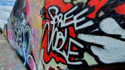 210503_Kirschblueten-006