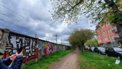 210503_Kirschblueten-010