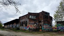 210503_Kirschblueten-021