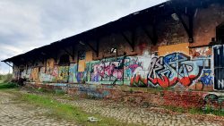 210503_Kirschblueten-022