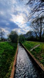 210503_Kirschblueten-023