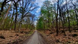 210506_Friedhofsbahn_nach_Stahnsdof-001