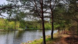 210506_Friedhofsbahn_nach_Stahnsdof-005