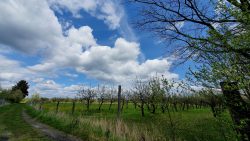 210508_Bernau_II-001