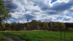 210508_Bernau_II-002