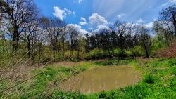 210508_Bernau_II-003