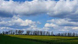 210508_Bernau_II-008