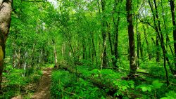 210522_Brieselang-003