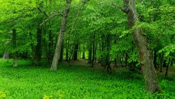 210522_Brieselang-004