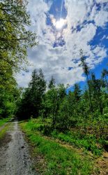 210522_Brieselang-005