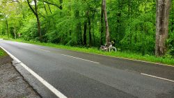 210522_Brieselang-007