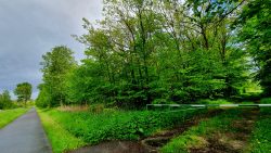 210522_Brieselang-009