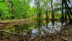 210522_Brieselang-011