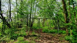 210522_Brieselang-012