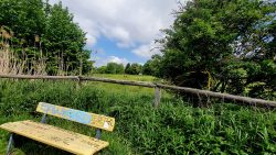 210529_ExplorerHike-002