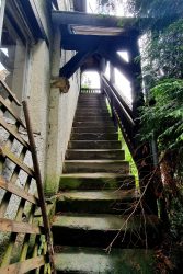 210529_ExplorerHike-008