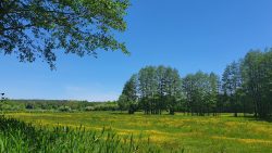 210530_Strausberg-001