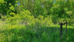 210530_Strausberg-002