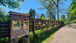 210530_Strausberg-003