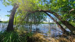 210530_Strausberg-004