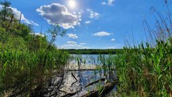 210530_Strausberg-008