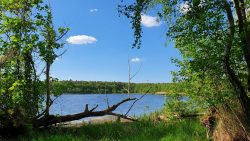 210530_Strausberg-009