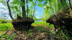 210530_Strausberg-010